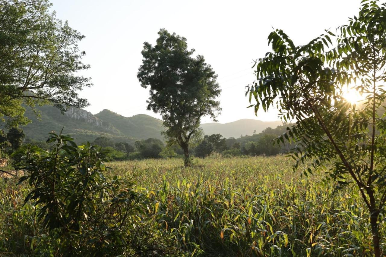 Vache Farm Stay อุเดเปอร์ ภายนอก รูปภาพ